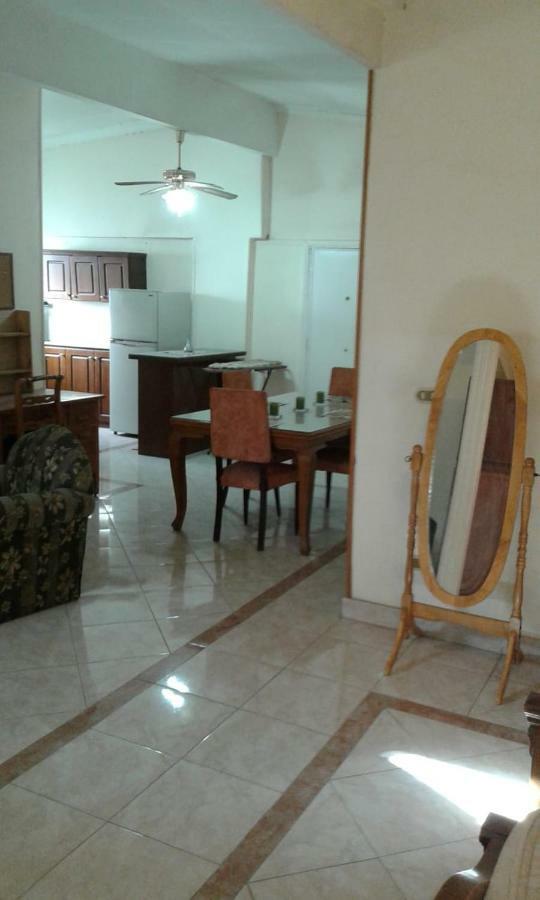 Elegant Heliopolis, Studio-Apartment 开罗 外观 照片